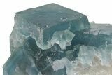 Cubic, Blue-Green Fluorite Crystal Cluster with Phantoms - China #217449-3